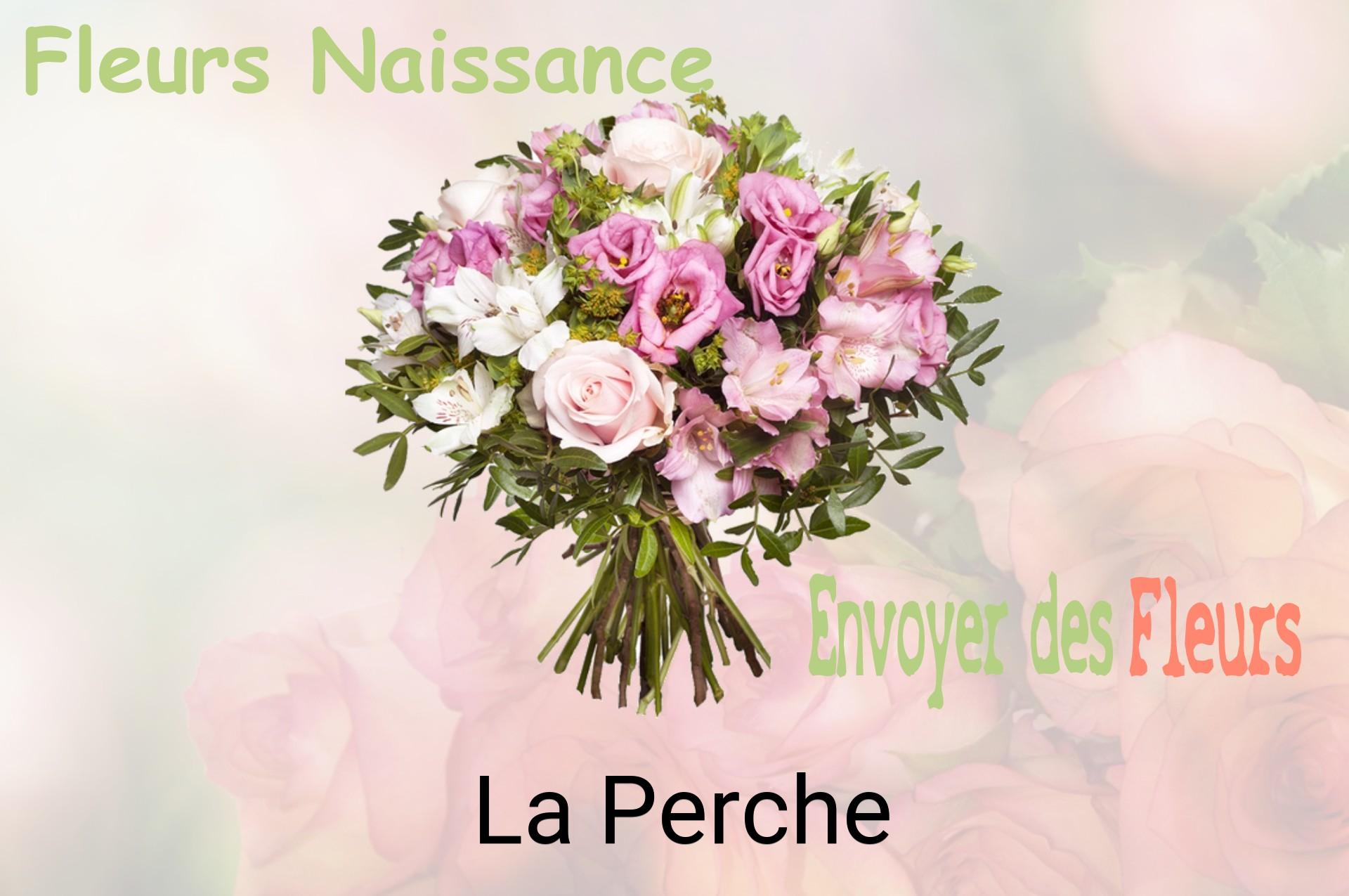 Bouquet de fleurs de naissance livré à La Perche